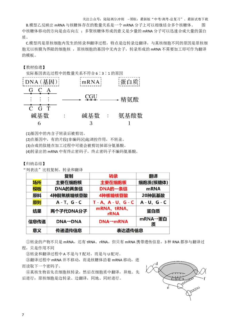 《第22讲基因的表达、基因与性状的关系（讲义）（学生版）_06-生物-高考总复习_一轮复习_2024年_2024年高考生物一轮复习讲练测(课件+讲义+练习)（新高考）_讲义+练习》第7页预览