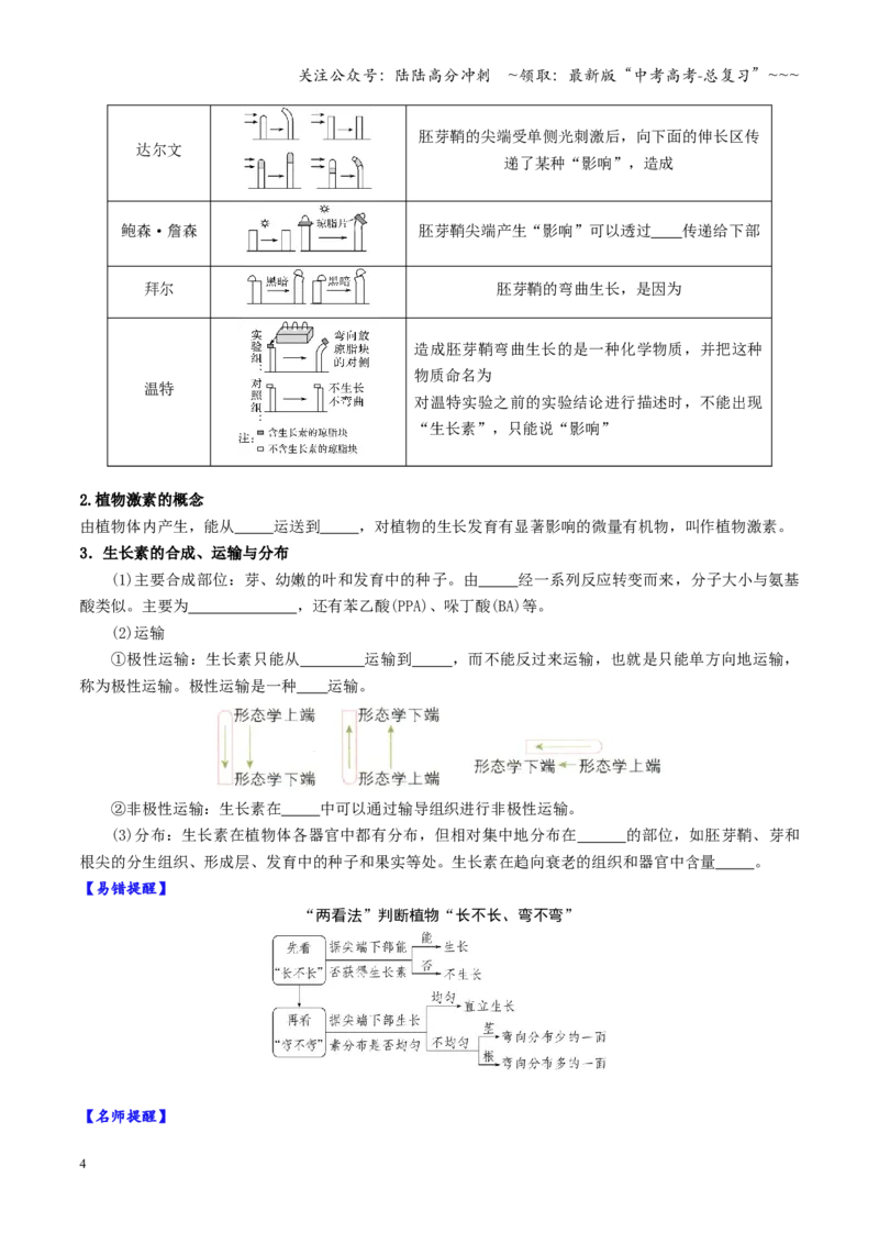 《第31讲植物生命活动调节（复习讲义）（全国通用）（学生版）_06-生物-高考总复习_一轮复习_2026年-生物高考一轮复习_2026年高考生物一轮复习讲义+练习+课件（新教材新高考）-G55_2026版》第4页预览