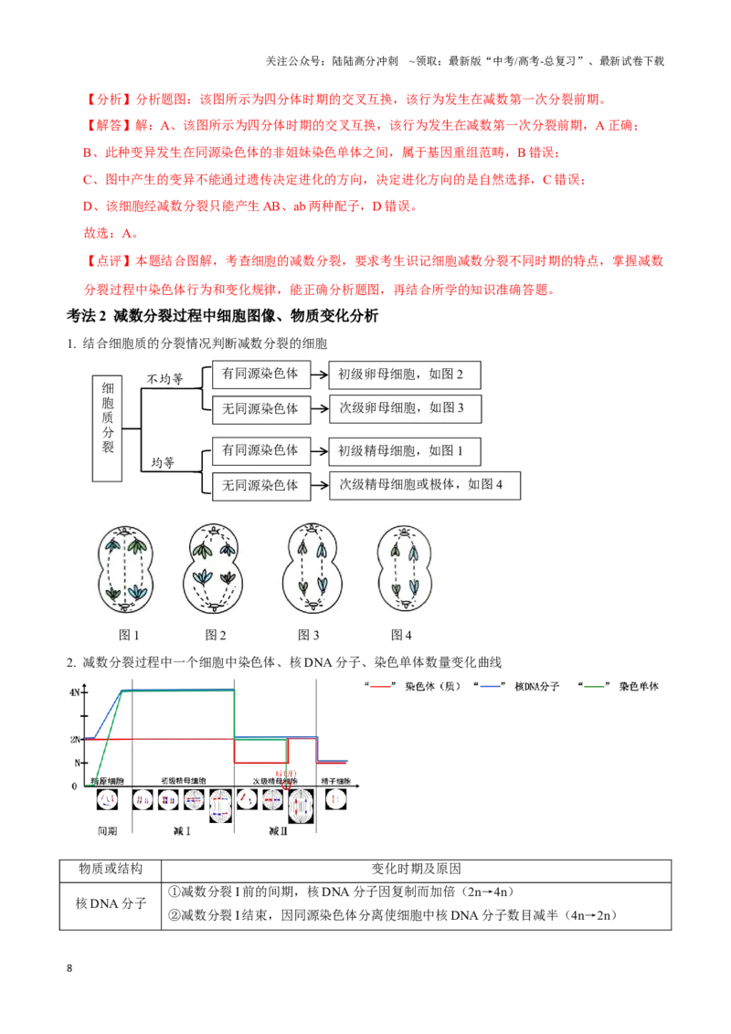 《考点17减数分裂和受精作用（讲义）（解析版）_06-生物-高考总复习_一轮复习_2024年_2023-2024学年高三生物一轮复习_资料》第8页预览