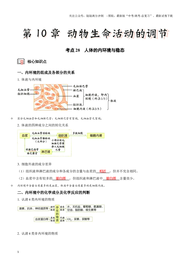 《考点28人体的内环境与稳态（讲义）（解析版）_06-生物-高考总复习_一轮复习_2024年_2023-2024学年高三生物一轮复习_资料》第1页预览
