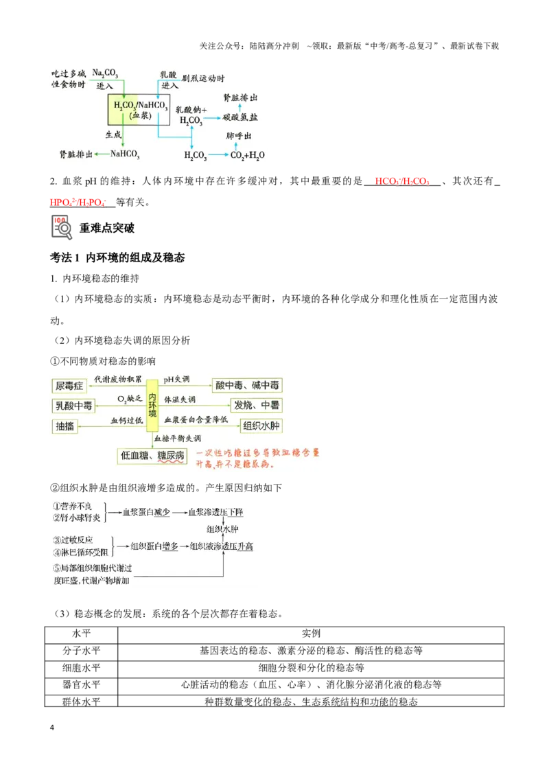 《考点28人体的内环境与稳态（讲义）（解析版）_06-生物-高考总复习_一轮复习_2024年_2023-2024学年高三生物一轮复习_资料》第4页预览