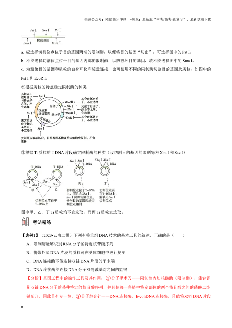 《考点49基因工程的工具及操作程序（讲义）（解析版）_06-生物-高考总复习_一轮复习_2024年_2023-2024学年高三生物一轮复习_资料》第8页预览