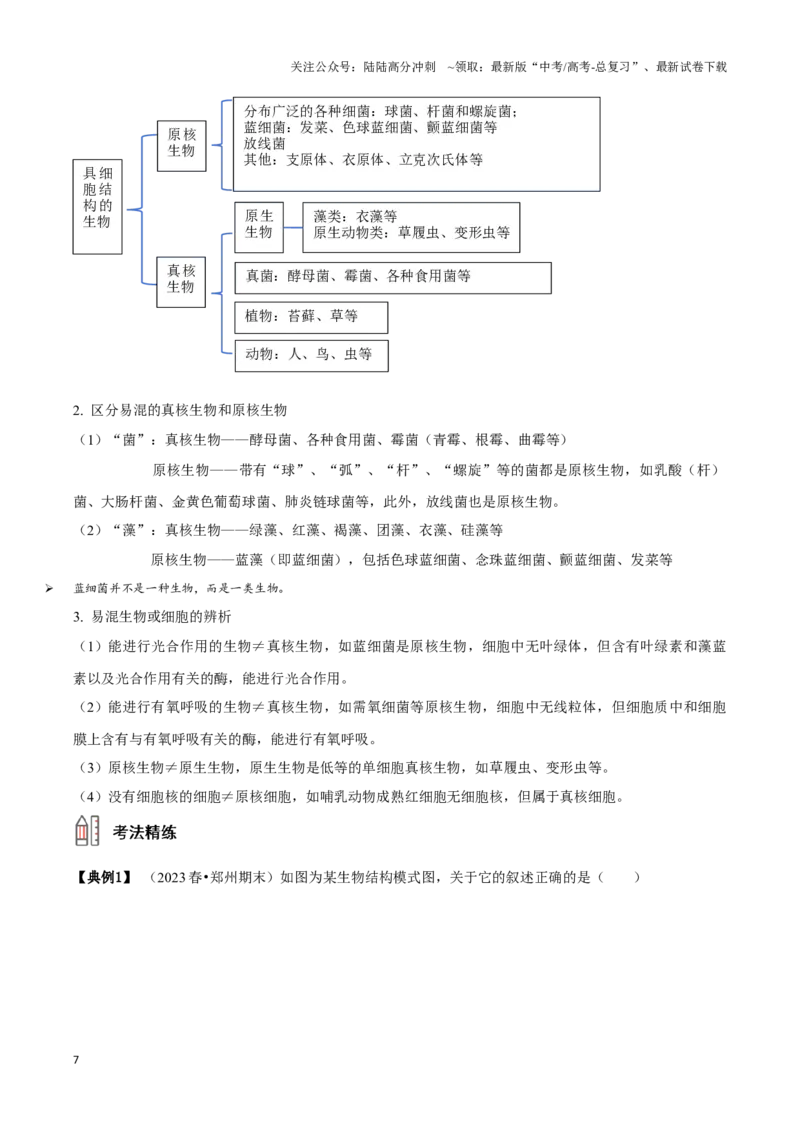 《考点5&6细胞是生命的单位、细胞核和细胞膜（讲义）（解析版）_06-生物-高考总复习_一轮复习_2024年_2023-2024学年高三生物一轮复习_资料》第7页预览