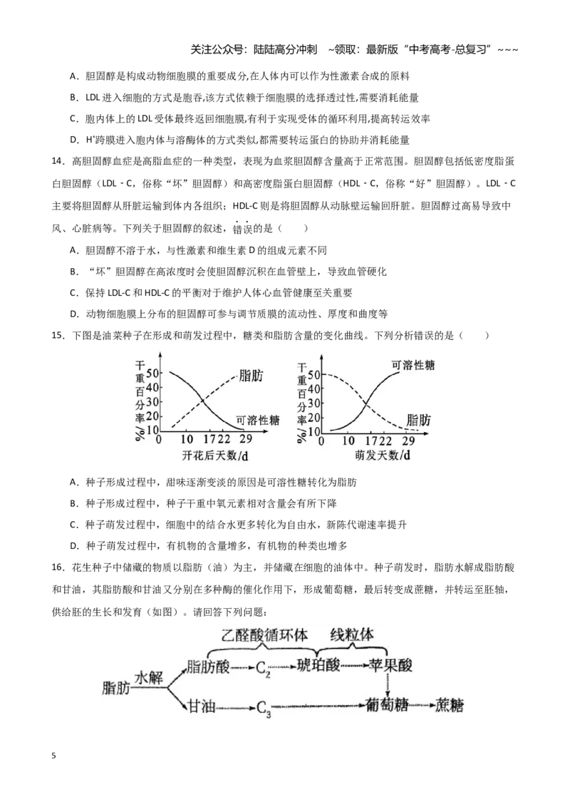 《第03讲糖类和脂质（专项训练）（湖南专用）（学生版）_06-生物-高考总复习_一轮复习_2026年-生物高考一轮复习_2026年高考生物一轮课件+讲义+练习（湖南专用）-G331》第5页预览