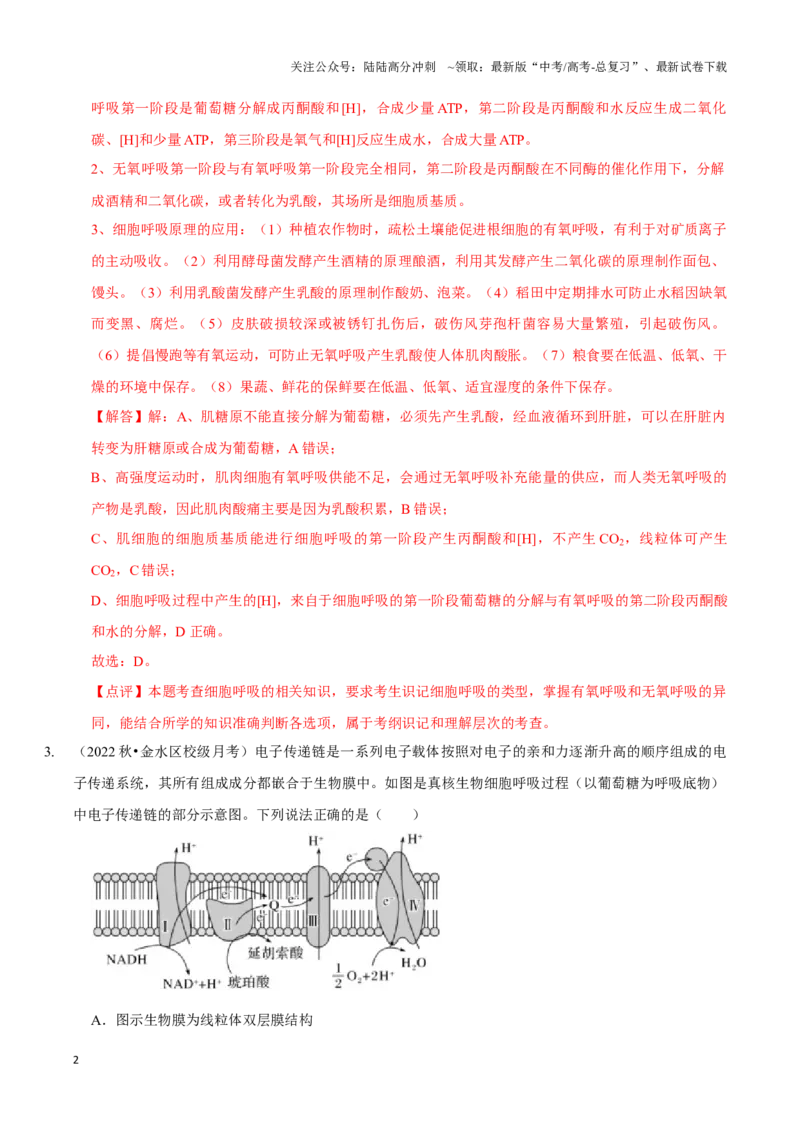 《考点11&12细胞呼吸的类型和过程及细胞呼吸的影响因素及应用（精练）（解析版）_06-生物-高考总复习_一轮复习_2024年_2023-2024学年高三生物一轮复习_资料》第2页预览
