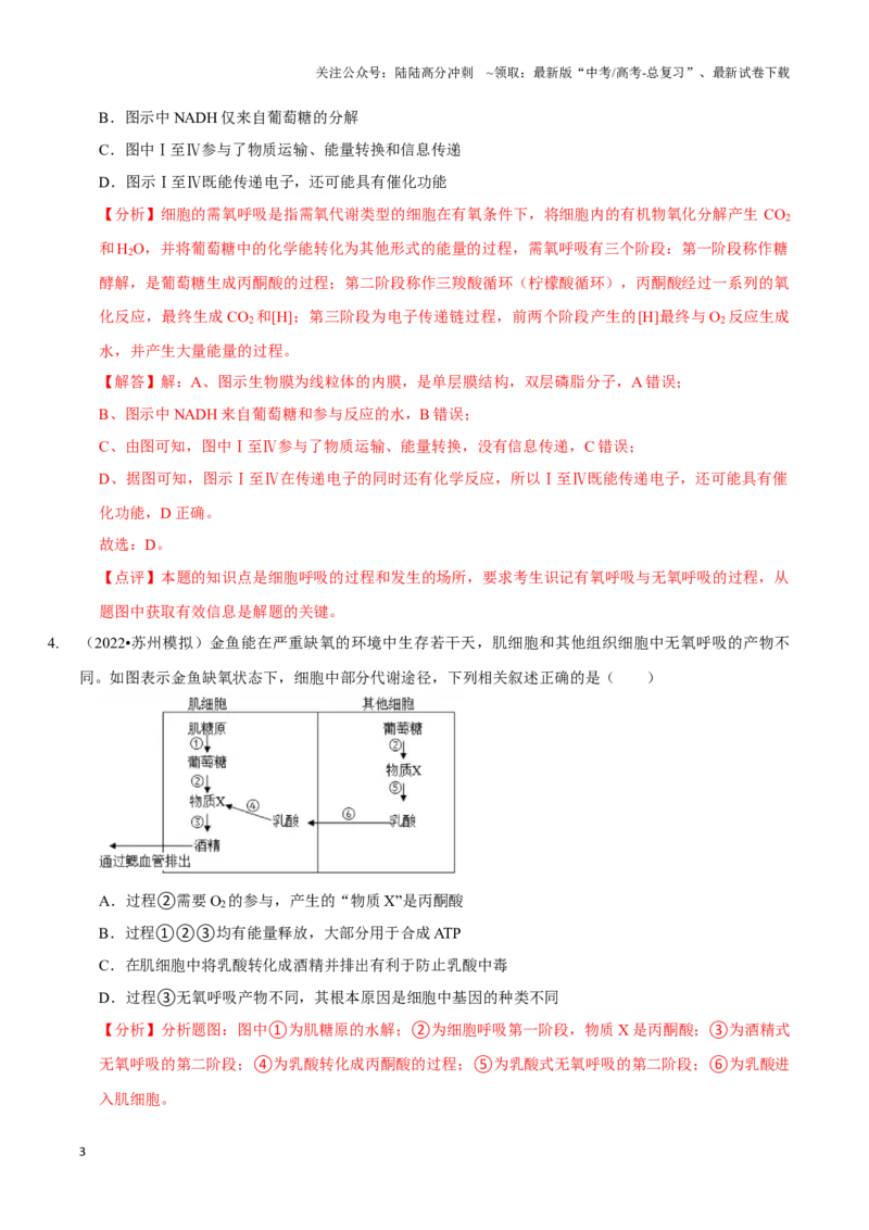 《考点11&12细胞呼吸的类型和过程及细胞呼吸的影响因素及应用（精练）（解析版）_06-生物-高考总复习_一轮复习_2024年_2023-2024学年高三生物一轮复习_资料》第3页预览