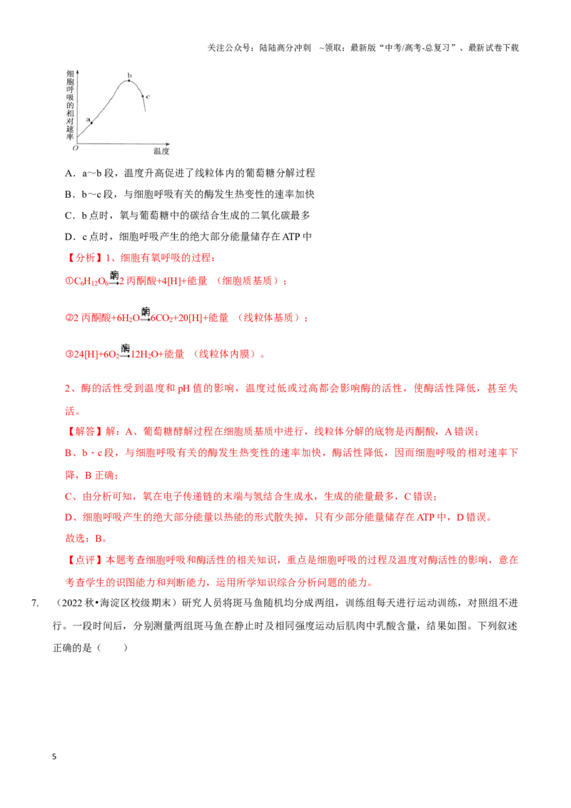 《考点11&12细胞呼吸的类型和过程及细胞呼吸的影响因素及应用（精练）（解析版）_06-生物-高考总复习_一轮复习_2024年_2023-2024学年高三生物一轮复习_资料》第5页预览