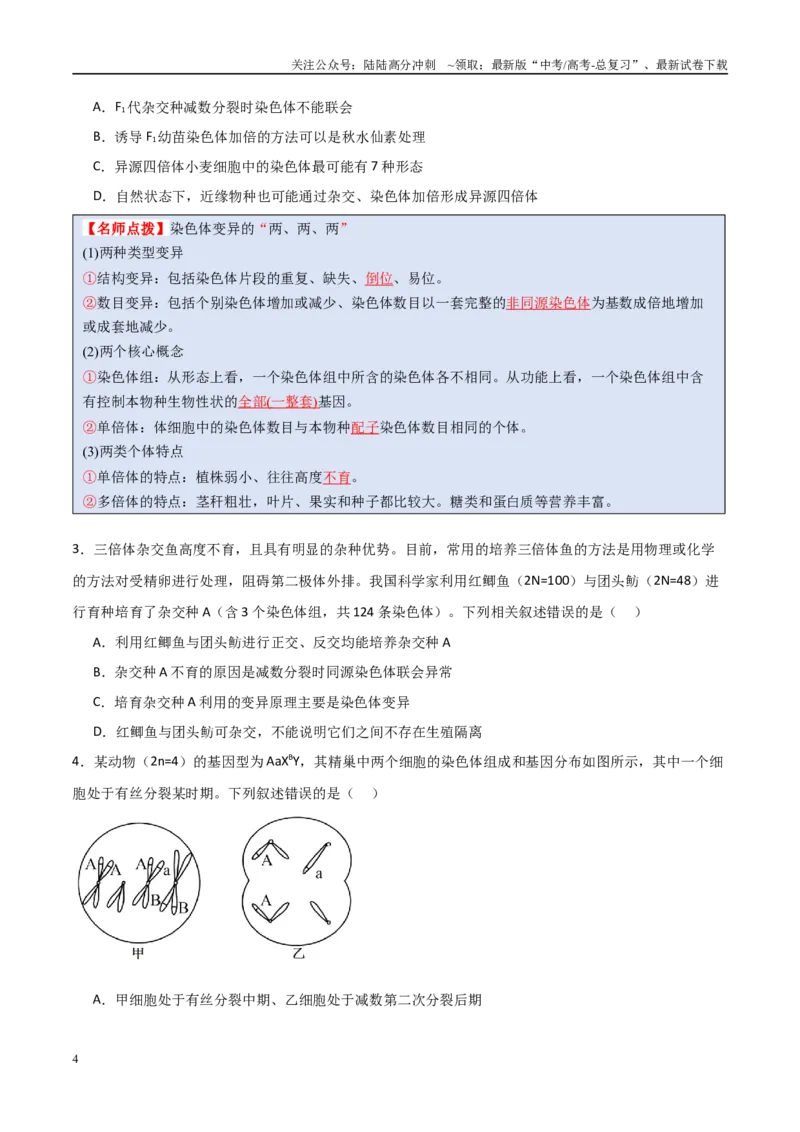 《猜押06变异与进化（学生版）_06-生物-高考总复习_专项复习_2025年_2025年高考生物抢分秘籍（新高考专用）_2025版》第4页预览