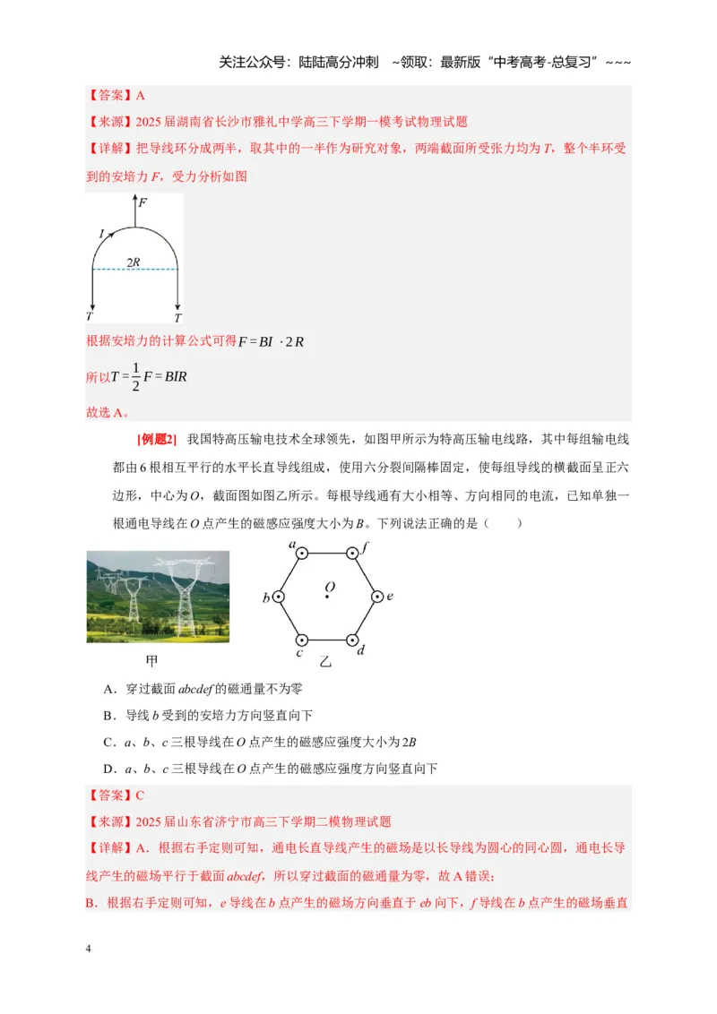 《第21讲磁场的描述磁场对电流的作用（教师版）_04-物理-高考总复习_一轮复习_2026年-物理高考一轮复习_2026年高考物理一轮复习考点精讲精练（全国通用）-G346_资料_2026版》第4页预览