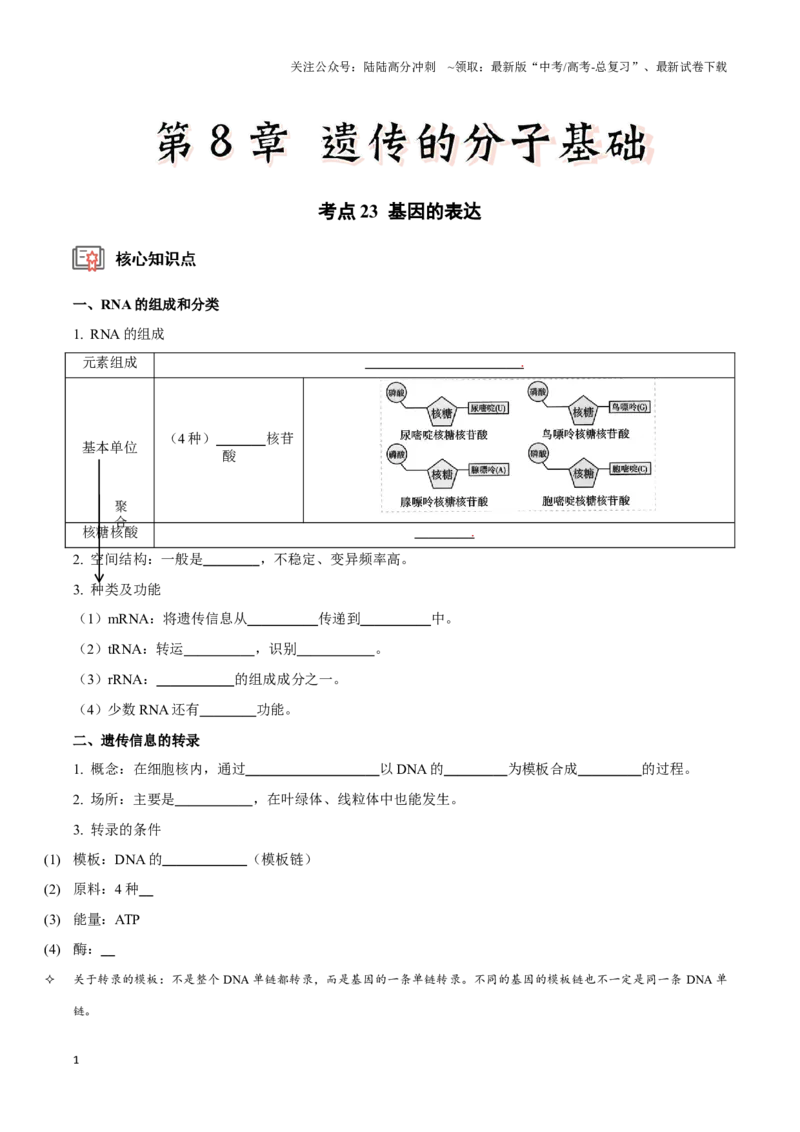 《考点23基因的表达（讲义）（原卷版）_06-生物-高考总复习_一轮复习_2024年_2023-2024学年高三生物一轮复习_资料》第1页预览