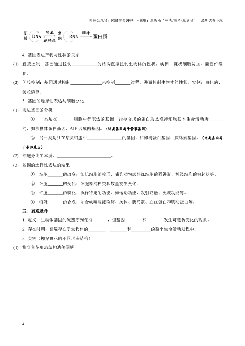《考点23基因的表达（讲义）（原卷版）_06-生物-高考总复习_一轮复习_2024年_2023-2024学年高三生物一轮复习_资料》第4页预览