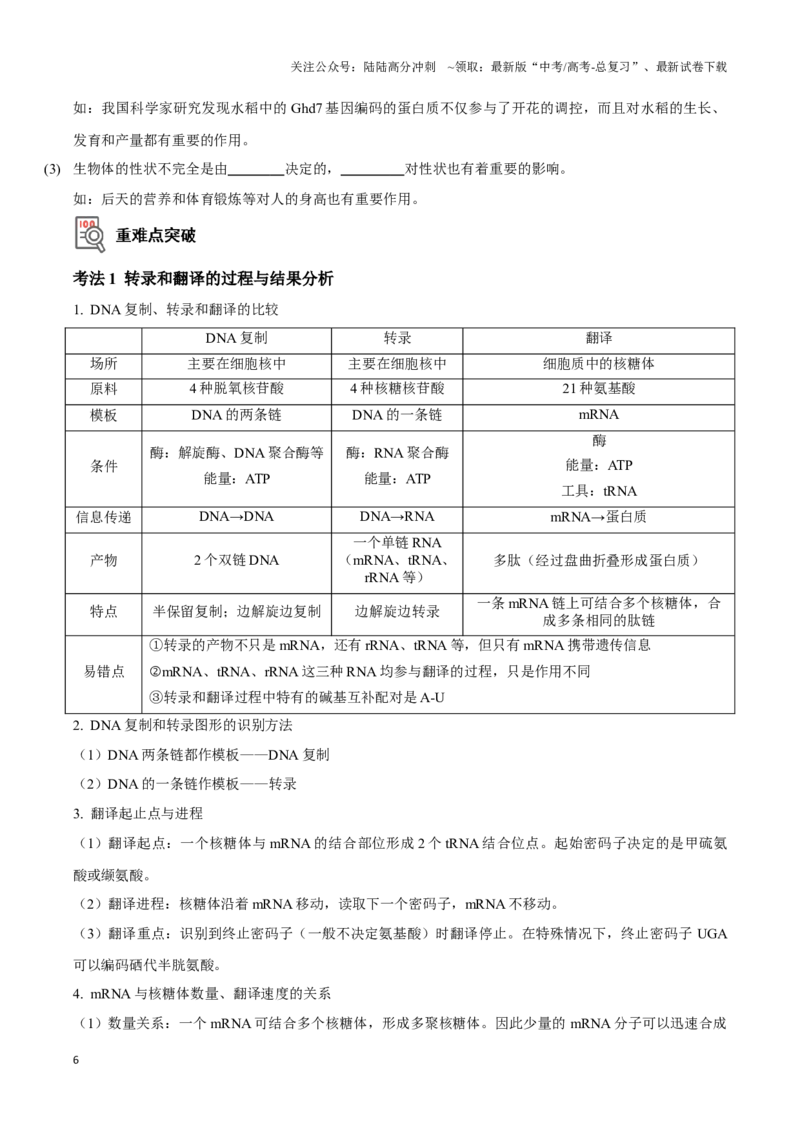 《考点23基因的表达（讲义）（原卷版）_06-生物-高考总复习_一轮复习_2024年_2023-2024学年高三生物一轮复习_资料》第6页预览
