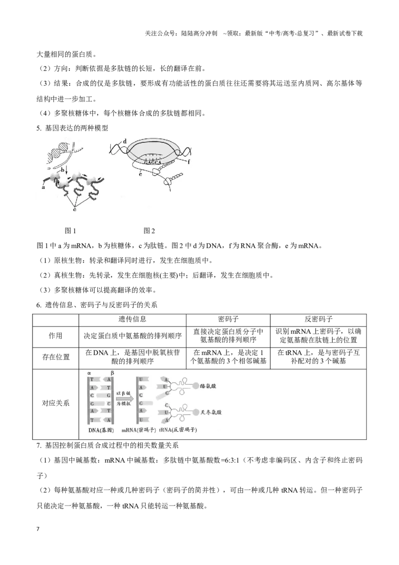 《考点23基因的表达（讲义）（原卷版）_06-生物-高考总复习_一轮复习_2024年_2023-2024学年高三生物一轮复习_资料》第7页预览