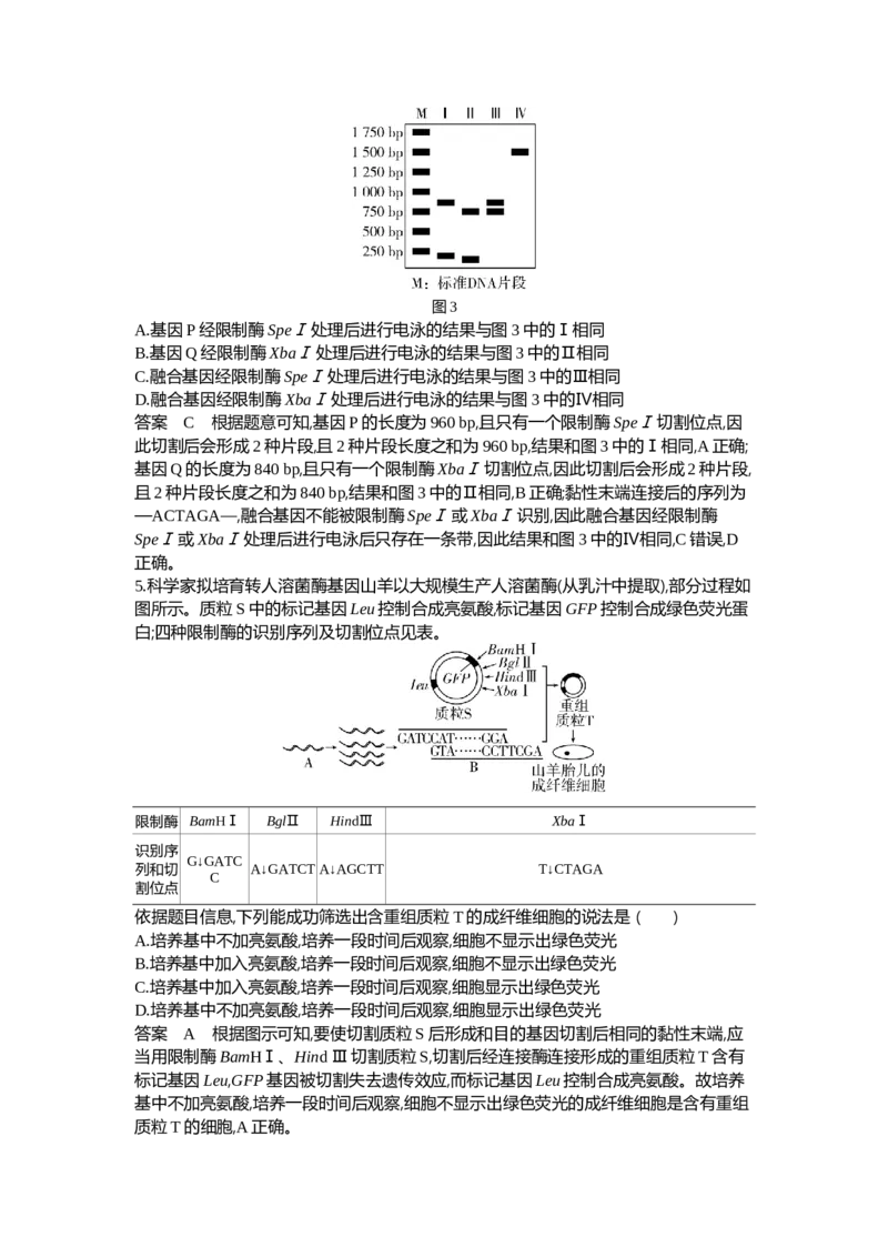 《1_27-专题二十七基因工程和生物技术的安全性与伦理问题_2024版教学资源包_2024版.新高考版生物.5·3A版_27_专题二十七基因工程和生物技术的安全性与伦理问题_6_专题检测》第3页预览