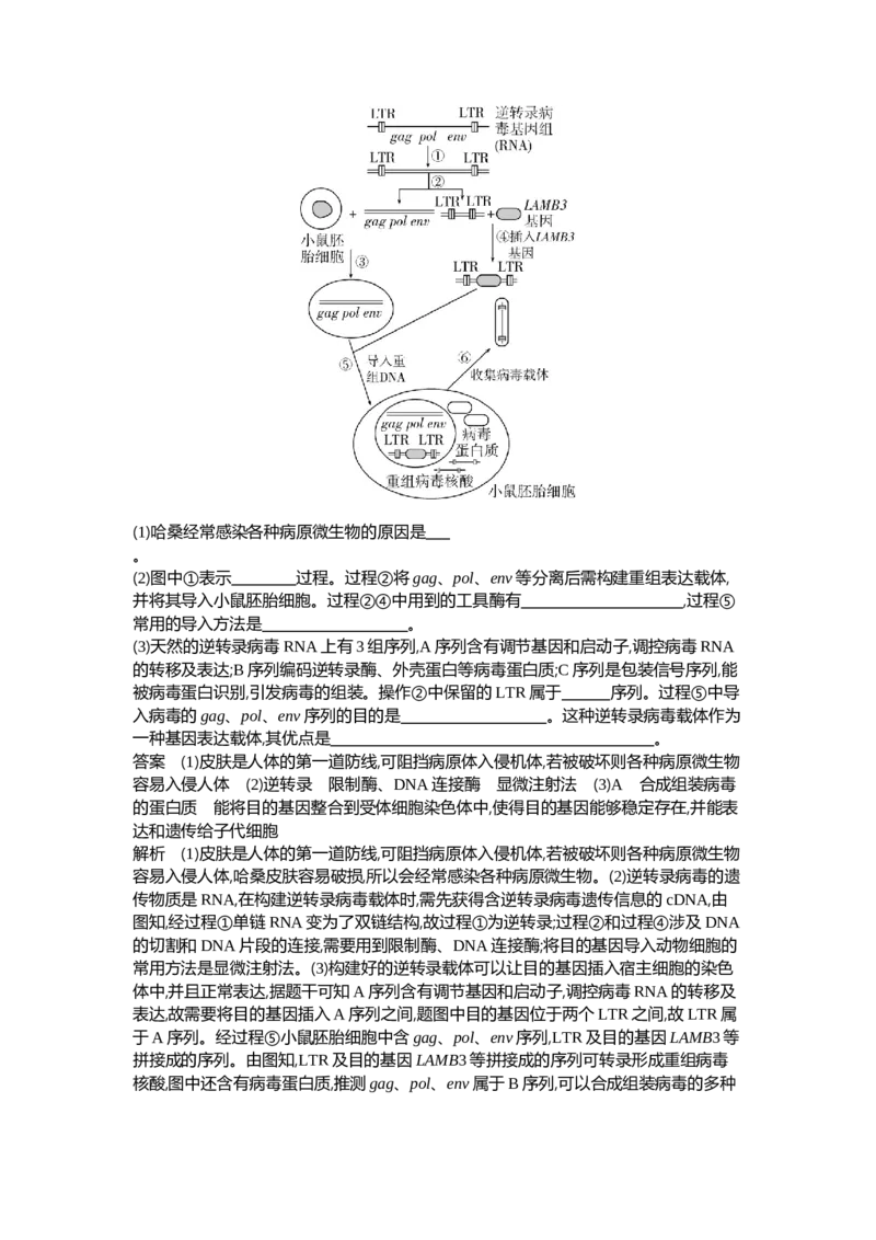 《1_27-专题二十七基因工程和生物技术的安全性与伦理问题_2024版教学资源包_2024版.新高考版生物.5·3A版_27_专题二十七基因工程和生物技术的安全性与伦理问题_6_专题检测》第7页预览