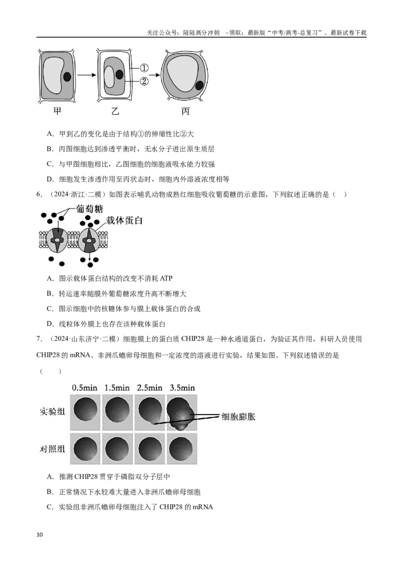 《第2天物质运输、酶和ATP（原卷版）_06-生物-高考总复习_专项复习_2024年_2024年高考生物考前15天夺分必备_资料》第10页预览