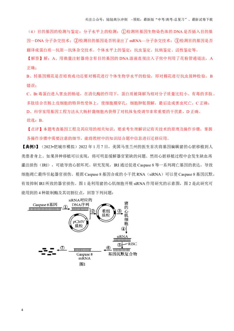 《考点50&考点51基因工程的应用及蛋白质工程生物技术的安全性与伦理问题（讲义）（解析版）_06-生物-高考总复习_一轮复习_2024年_2023-2024学年高三生物一轮复习_资料》第4页预览