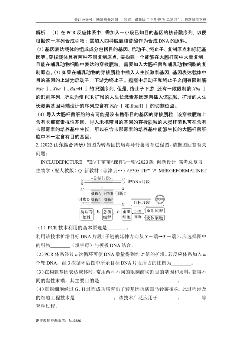 《热点微练22PCR技术的应用(尖子生特训)_06-生物-高考总复习_一轮复习_2024年_2024高考生物大一轮复习课件讲义新人教版知识总结_2024年高考生物一轮复习讲义（新人教版）_另赠1套Word版题库》第2页预览
