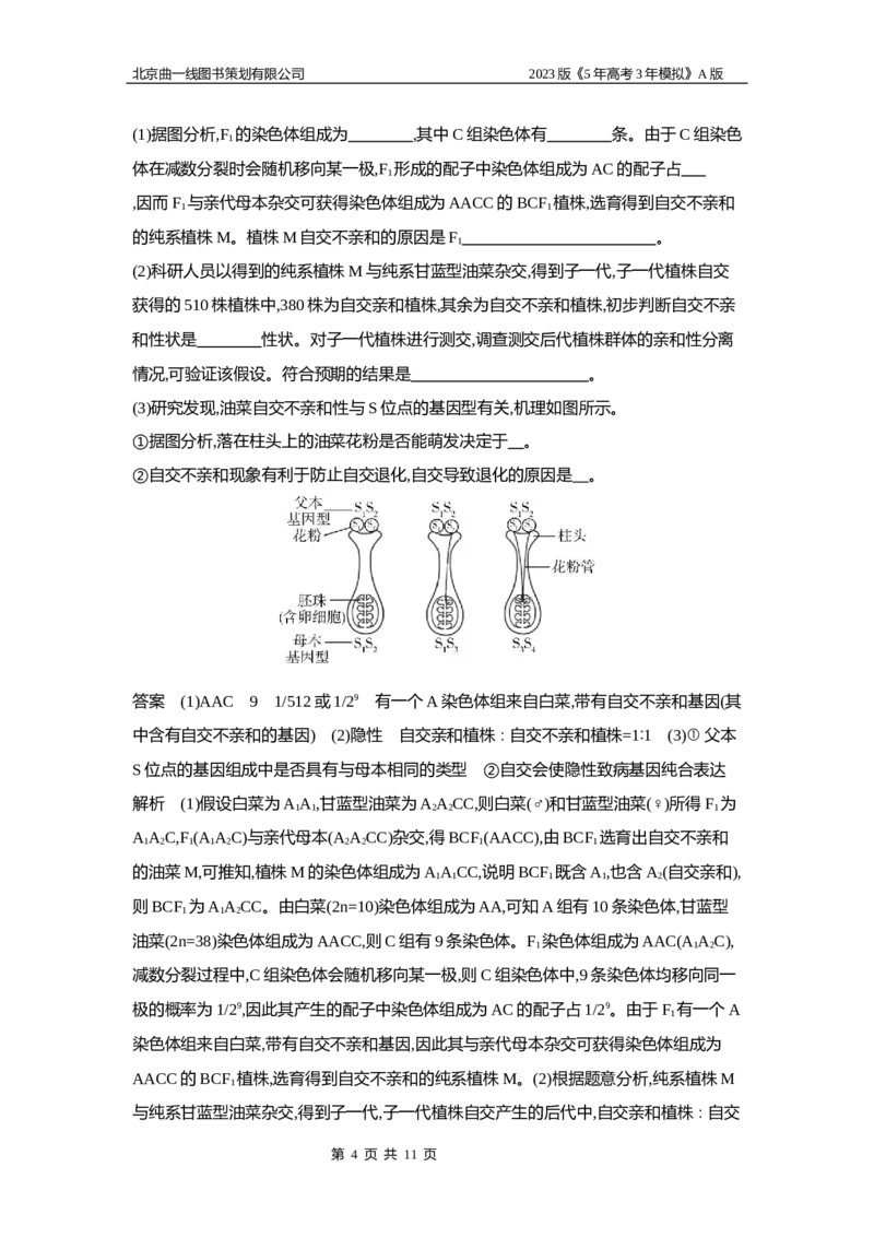 《1_6专题十四　生物的变异(1)_2023版教学资源包_2023版新高考版选考总复习生物5·3A版_14_专题十四生物的变异_5_应用创新题组》第4页预览