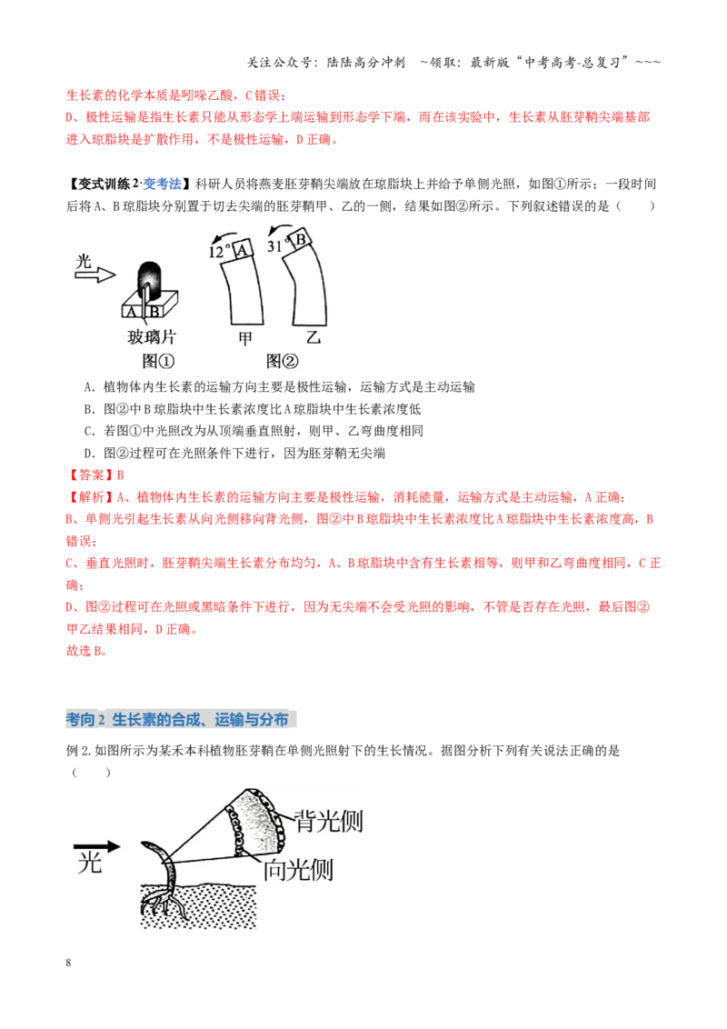 《第31讲植物生命活动调节（复习讲义）（全国通用）（教师版）_06-生物-高考总复习_一轮复习_2026年-生物高考一轮复习_2026年高考生物一轮复习讲义+练习+课件（新教材新高考）-G55_2026版》第8页预览