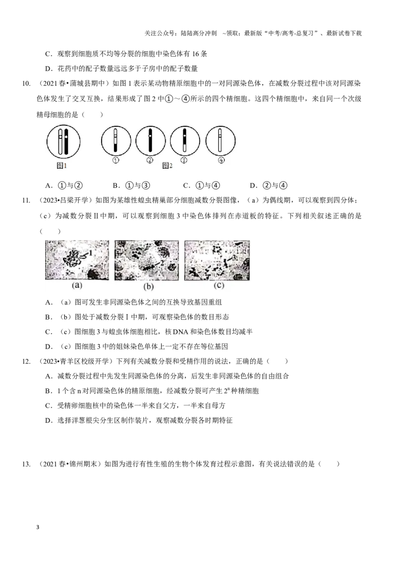 《考点17减数分裂和受精作用（精练）（原卷版）_06-生物-高考总复习_一轮复习_2024年_2023-2024学年高三生物一轮复习_资料》第3页预览