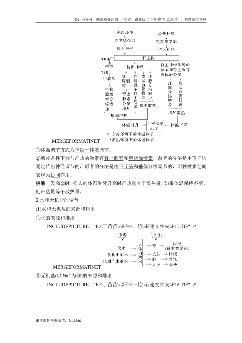 《第22讲人体内环境稳态及实例_06-生物-高考总复习_一轮复习_2024年_2024高考生物大一轮复习课件讲义新人教版知识总结_2024年高考生物一轮复习讲义（新人教版）_另赠1套Word版题库》第10页预览