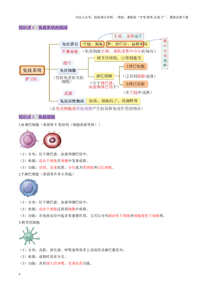 《第28讲免疫调节（讲义）（教师版）_06-生物-高考总复习_一轮复习_2025年_2025年新高考生物一轮复习讲义PPT知识点习题训_资料_第八单元稳态与调节》第4页预览