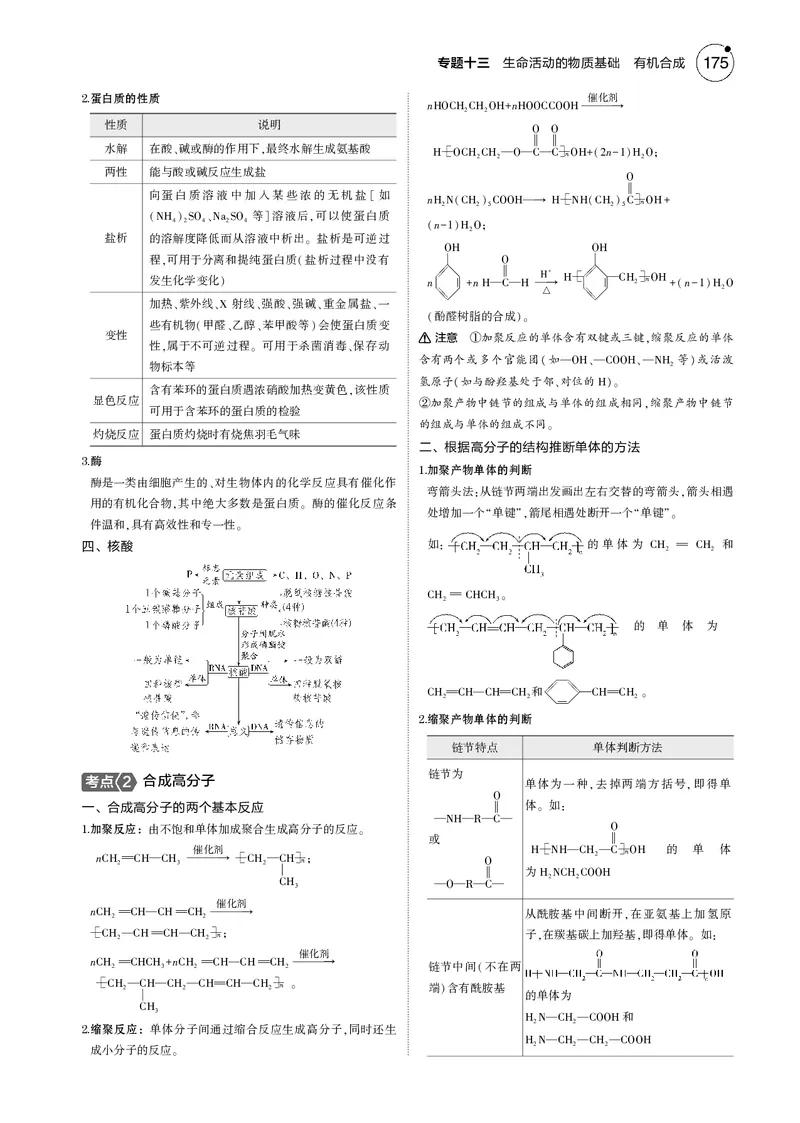 《1_13专题十三生命活动的物质基础有机合成_2025版教学资源包_（总复习系列）2025版《5年高考3年模拟》新高考版B版（⭐全科）_2025版.新高考新教材版.选考总复习.化学.5·3B版》第2页预览