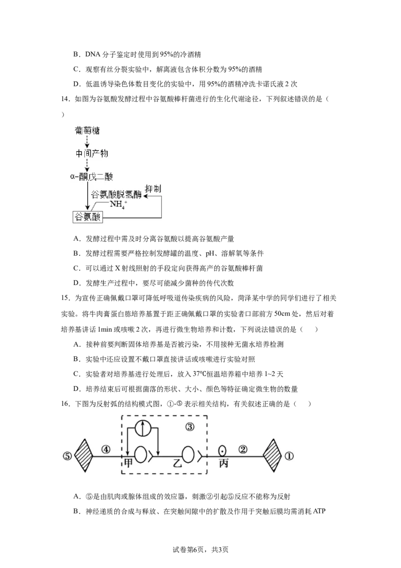 《15_2025届辽宁省辽宁省教研教改联合体一模生物试题_2026版教学资源包_202653高考总复习A版_新高考_生物_教师A版2026年.新高考版.生物.53_优质模拟题精选（Word）_1_资源拓展》第6页预览