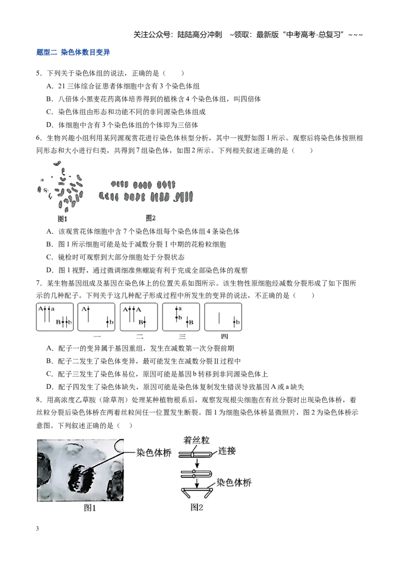 《第25讲染色体变异与育种（专项训练）（福建专用）（学生版）_06-生物-高考总复习_一轮复习_2026年-生物高考一轮复习_2026年高考生物一轮课件+讲义+练习（福建专用）-G328》第3页预览