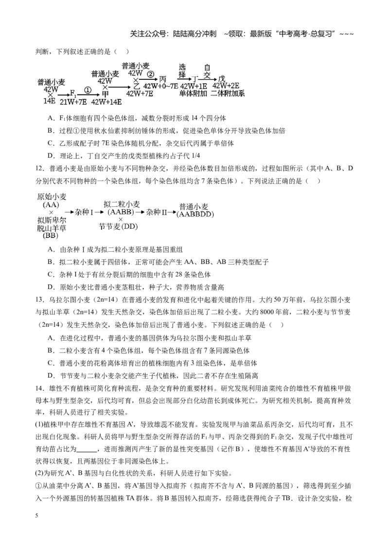 《第25讲染色体变异与育种（专项训练）（福建专用）（学生版）_06-生物-高考总复习_一轮复习_2026年-生物高考一轮复习_2026年高考生物一轮课件+讲义+练习（福建专用）-G328》第5页预览