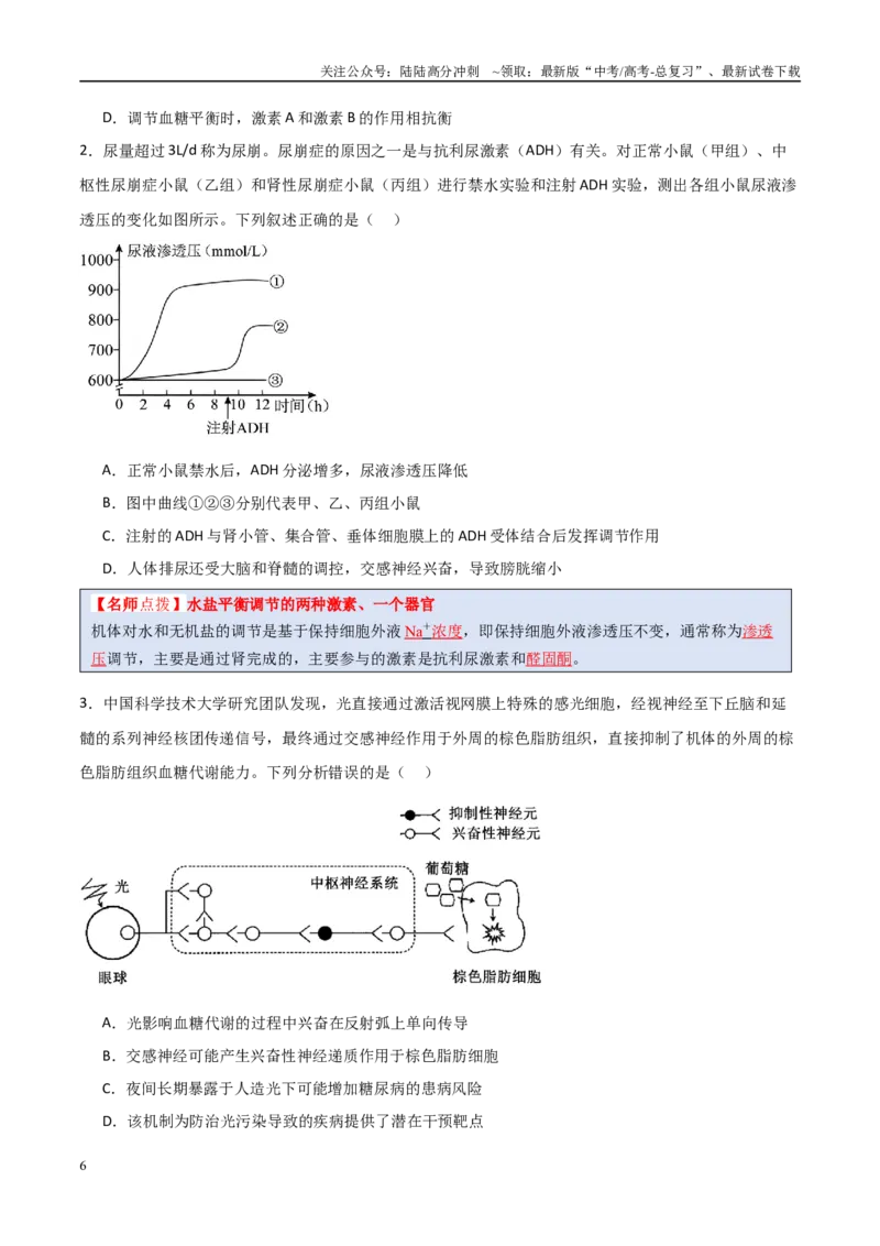 《猜押07动物生命活动的调节（学生版）_06-生物-高考总复习_专项复习_2025年_2025年高考生物抢分秘籍（新高考专用）_2025版》第6页预览