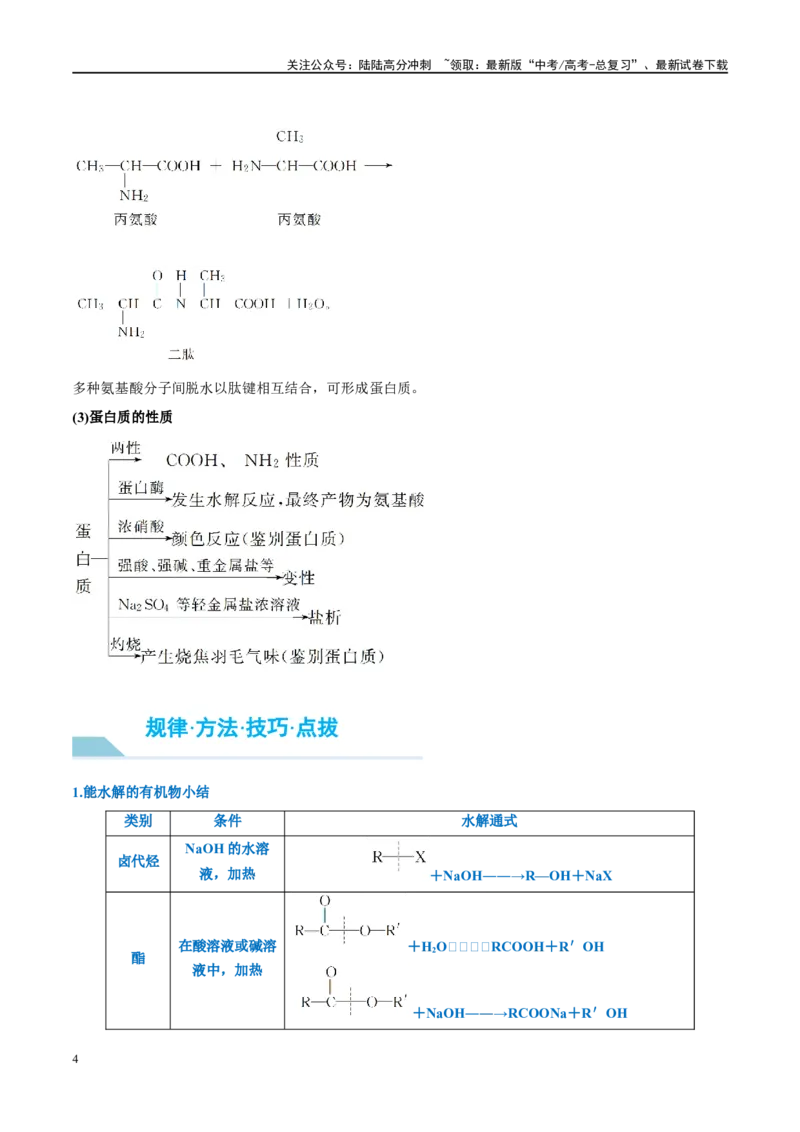 《第41讲生物大分子合成高分子（讲义）-（原卷版）_05-化学-高考总复习_一轮复习_2024年_2024年高考化学大一轮复习卓越讲义_资料》第4页预览