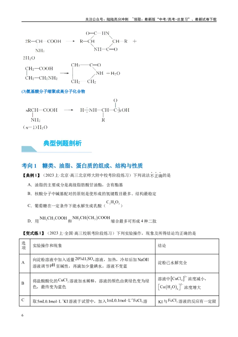 《第41讲生物大分子合成高分子（讲义）-（原卷版）_05-化学-高考总复习_一轮复习_2024年_2024年高考化学大一轮复习卓越讲义_资料》第6页预览