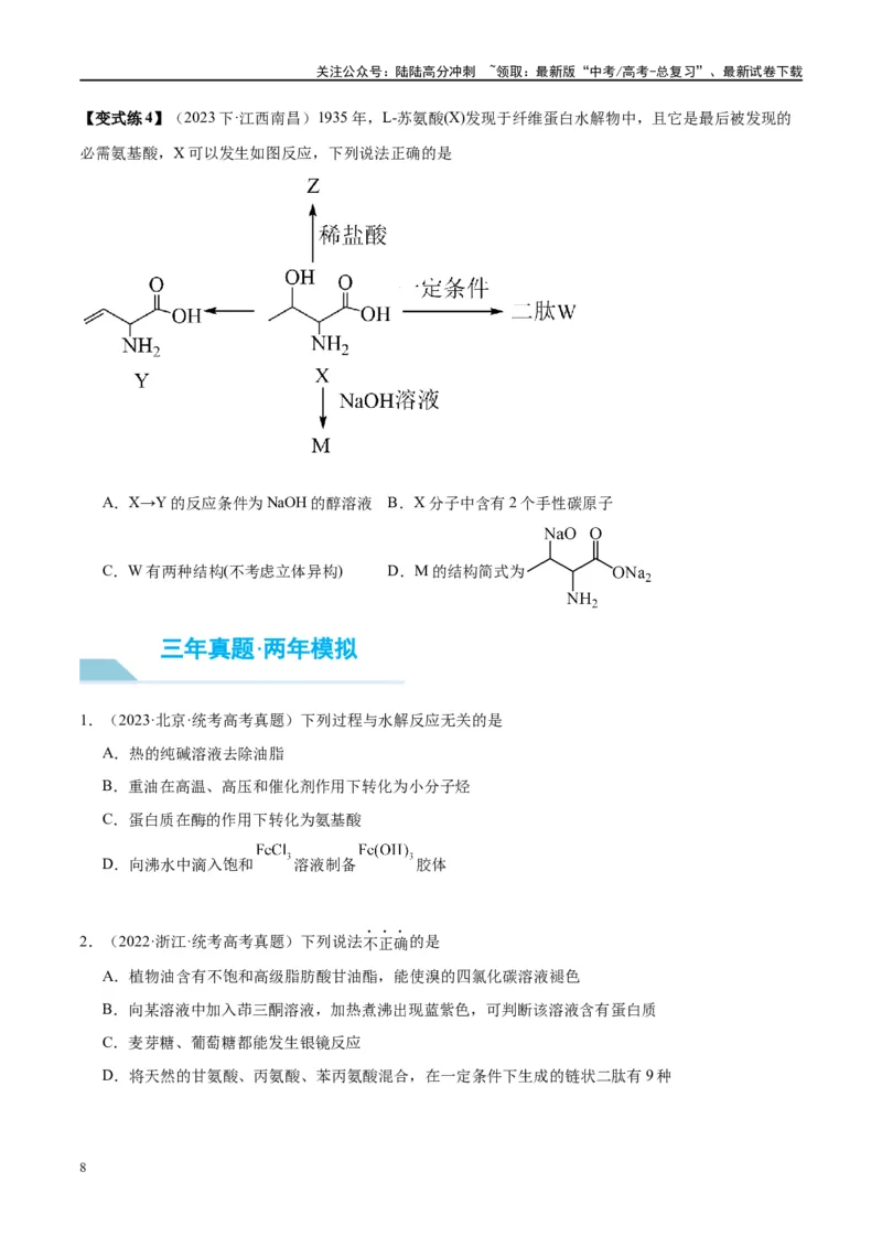 《第41讲生物大分子合成高分子（讲义）-（原卷版）_05-化学-高考总复习_一轮复习_2024年_2024年高考化学大一轮复习卓越讲义_资料》第8页预览