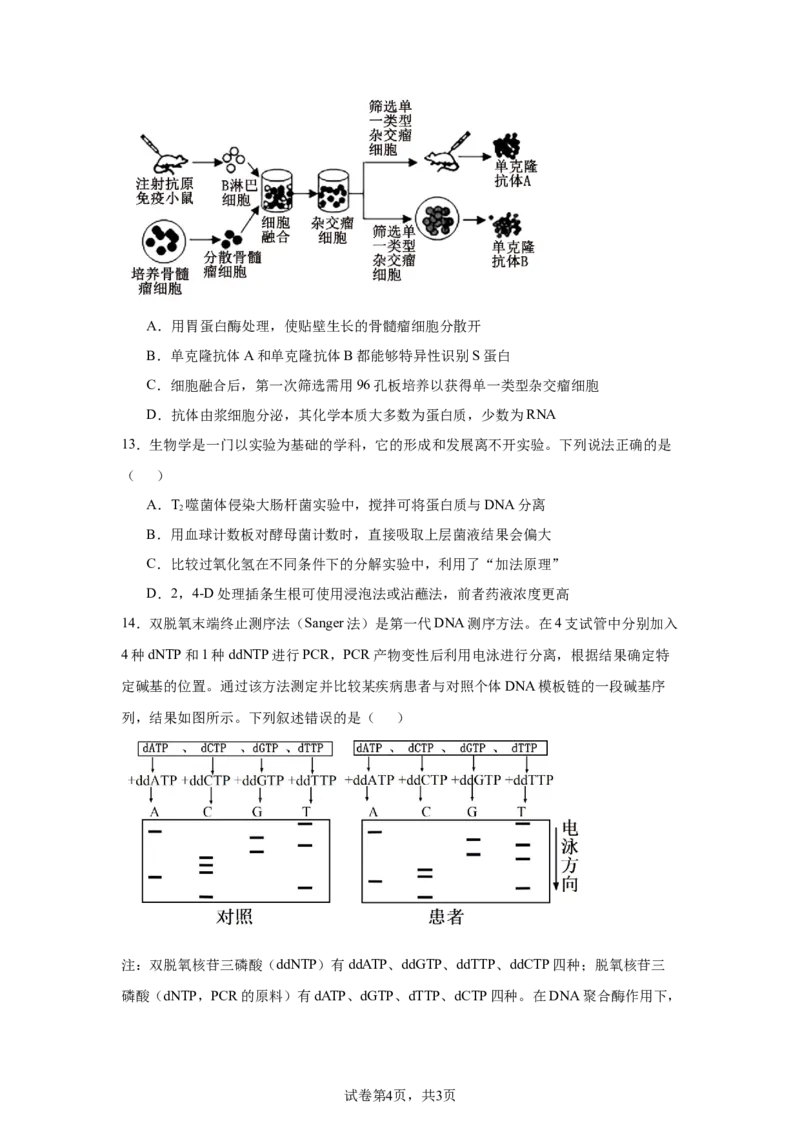 《16_2025届黑龙江省大庆市高三第一次教质量检测（一模）生物试题_2026版教学资源包_202653高考总复习A版_新高考_生物_教师A版2026年.新高考版.生物.53_优质模拟题精选（Word）_1_资源拓展》第4页预览