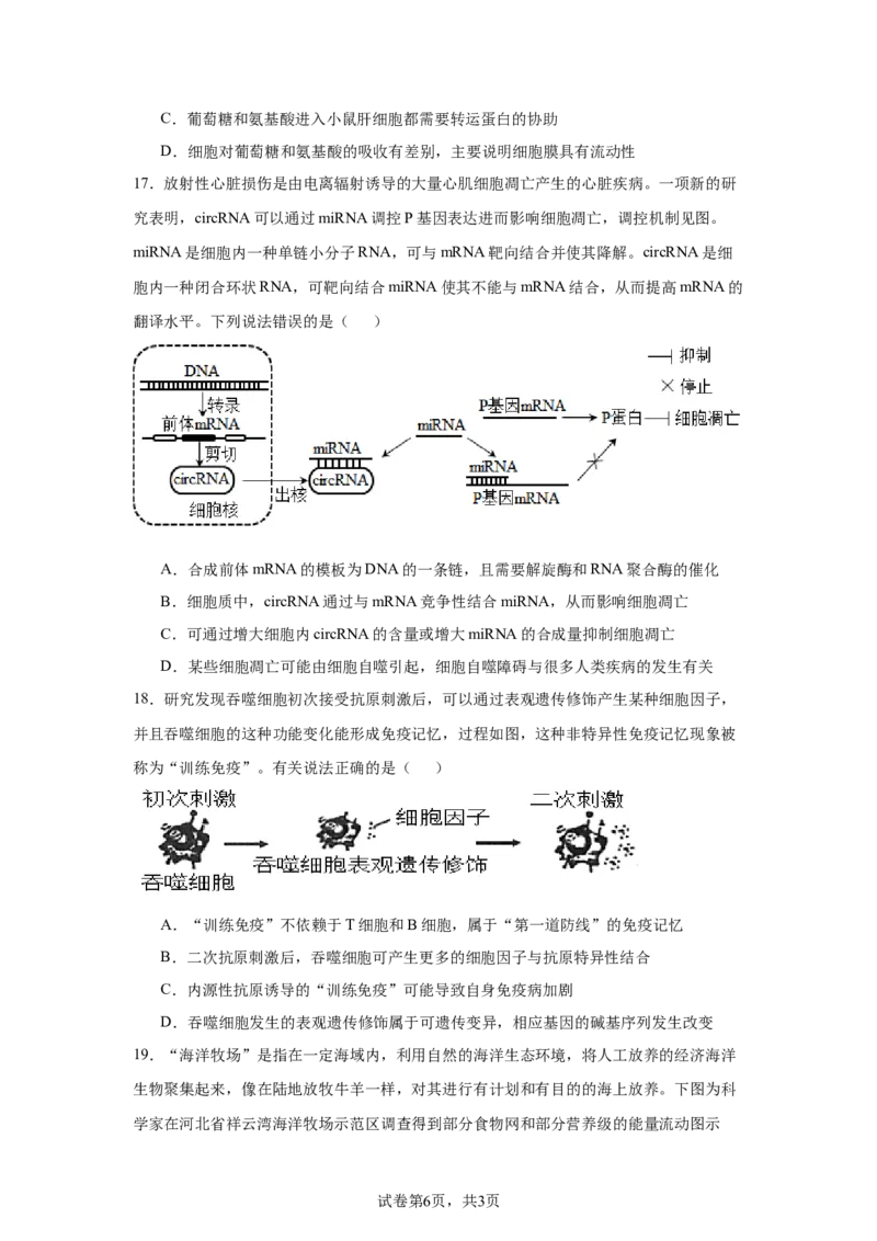 《16_2025届黑龙江省大庆市高三第一次教质量检测（一模）生物试题_2026版教学资源包_202653高考总复习A版_新高考_生物_教师A版2026年.新高考版.生物.53_优质模拟题精选（Word）_1_资源拓展》第6页预览