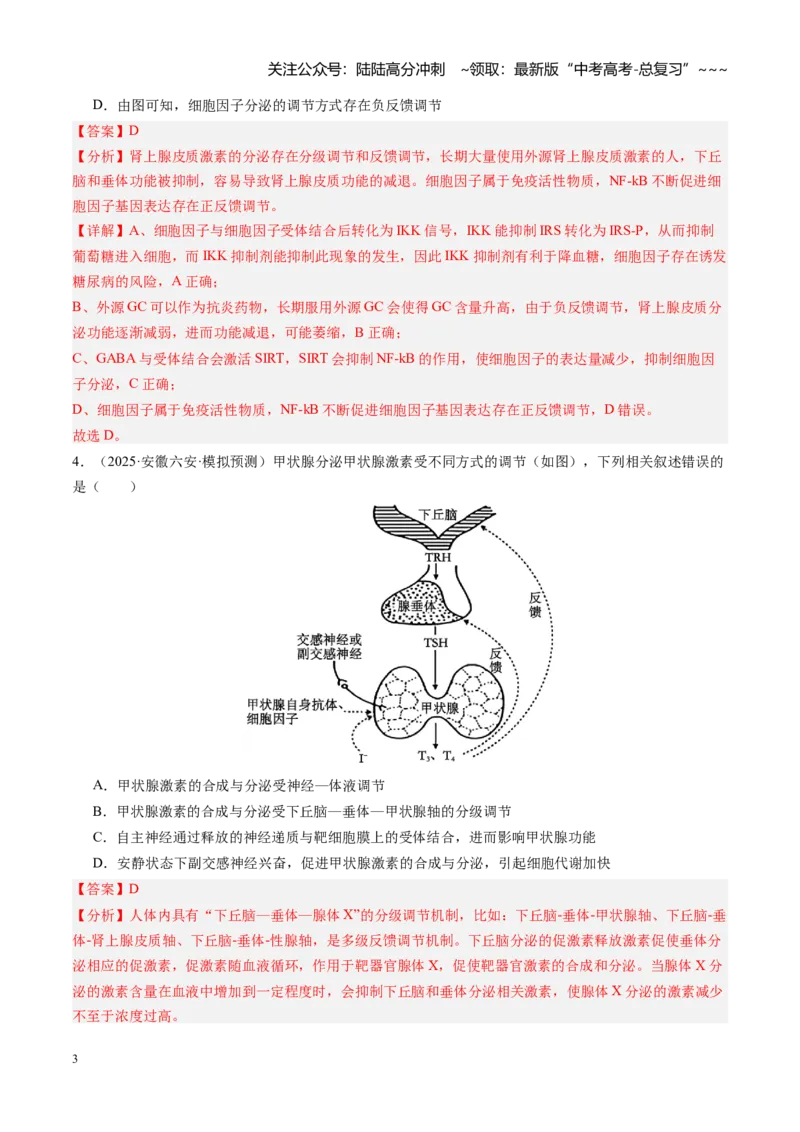 《第27讲体液调节（专项训练）（安徽专用）（教师版）_06-生物-高考总复习_一轮复习_2026年-生物高考一轮复习_2026年高考生物一轮课件+讲义+练习（安徽专用）-G326》第3页预览