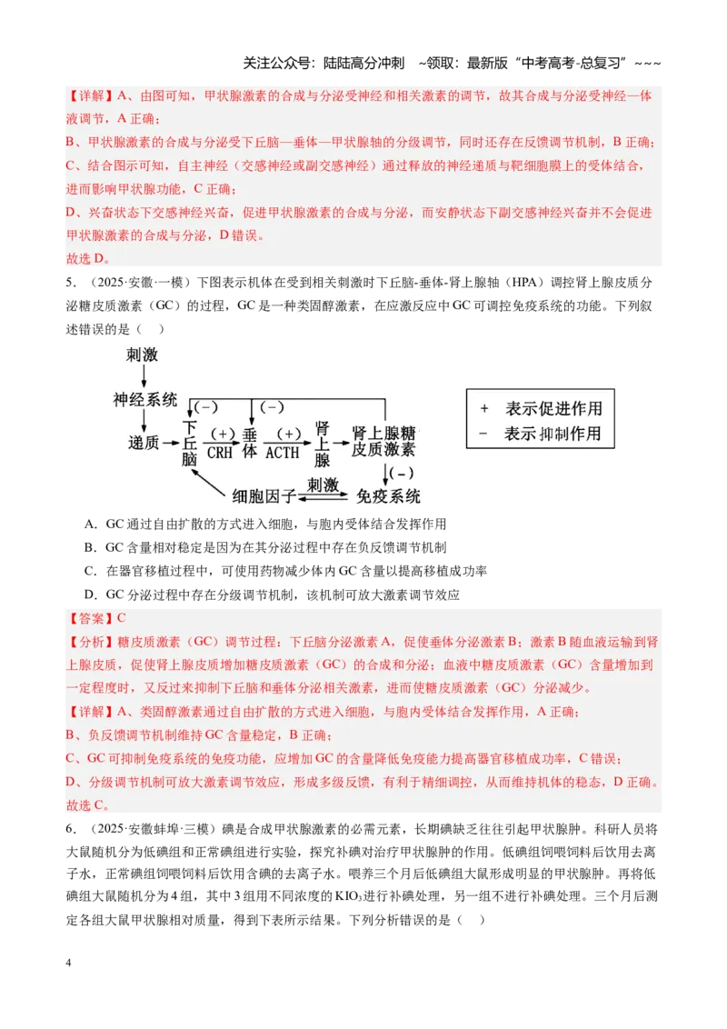 《第27讲体液调节（专项训练）（安徽专用）（教师版）_06-生物-高考总复习_一轮复习_2026年-生物高考一轮复习_2026年高考生物一轮课件+讲义+练习（安徽专用）-G326》第4页预览
