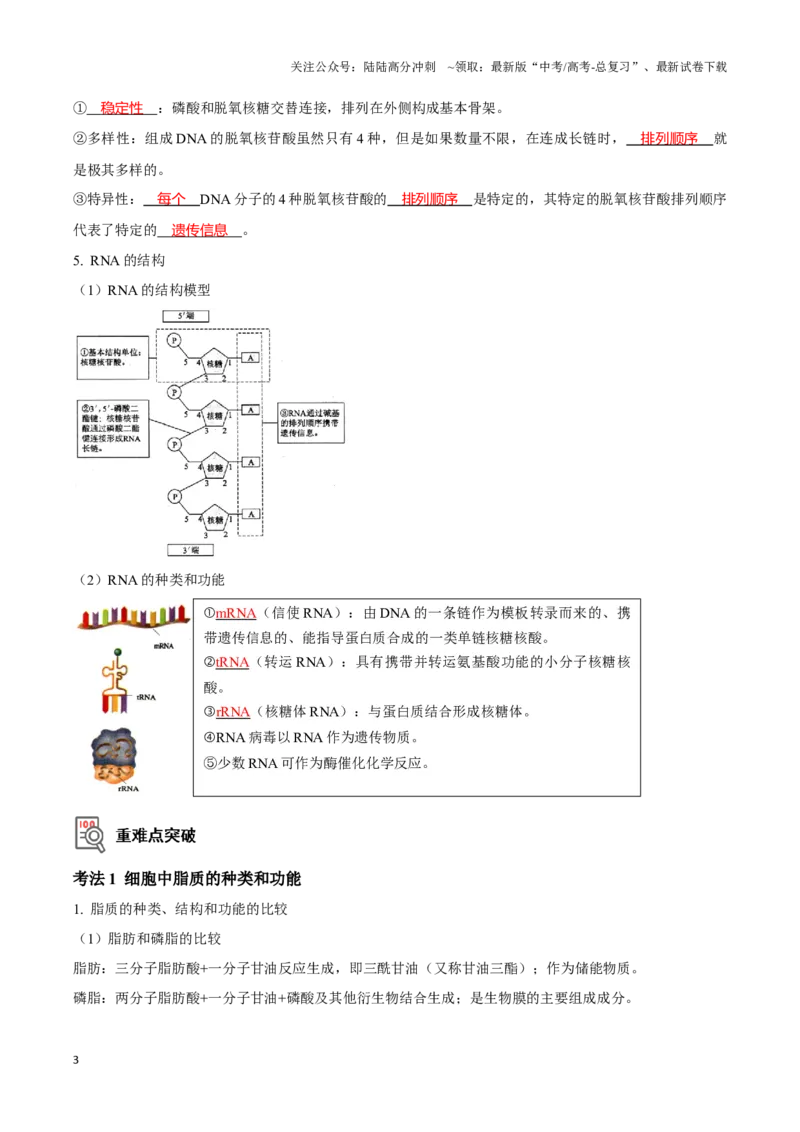 《考点2糖类、脂质、核酸的种类和作用（讲义）（解析版）_06-生物-高考总复习_一轮复习_2024年_2023-2024学年高三生物一轮复习_资料》第3页预览