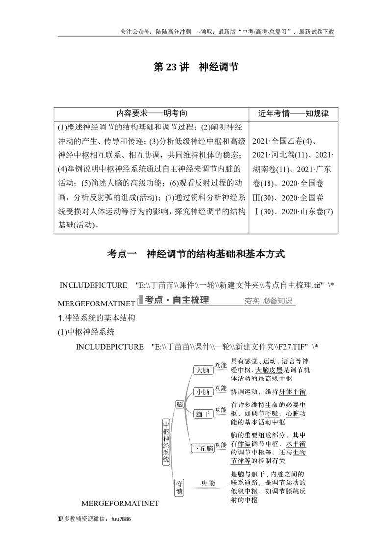 《第23讲神经调节_06-生物-高考总复习_一轮复习_2024年_2024高考生物大一轮复习课件讲义新人教版知识总结_2024年高考生物一轮复习讲义（新人教版）_另赠1套Word版题库_选择性必修1》第1页预览