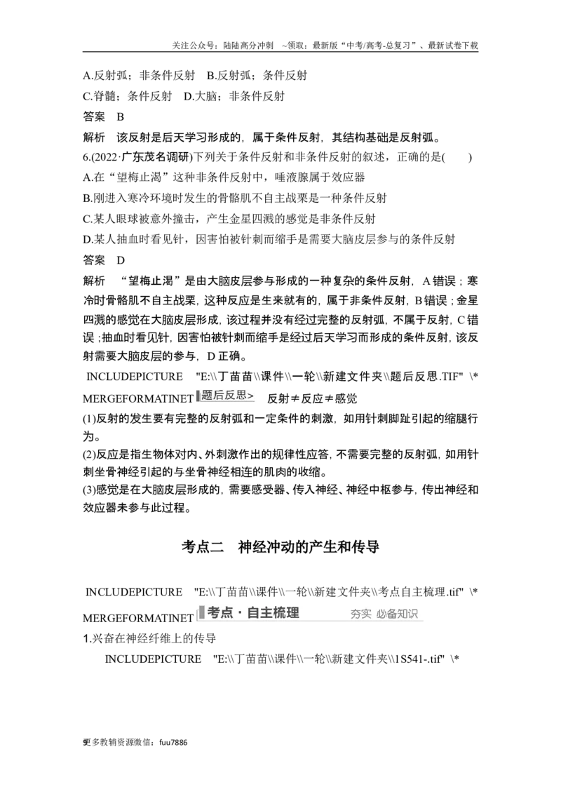 《第23讲神经调节_06-生物-高考总复习_一轮复习_2024年_2024高考生物大一轮复习课件讲义新人教版知识总结_2024年高考生物一轮复习讲义（新人教版）_另赠1套Word版题库_选择性必修1》第9页预览