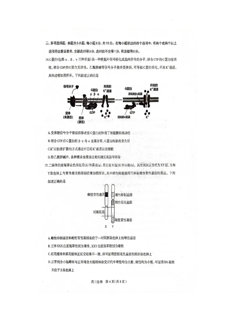 《17_河北省石家庄市2023届高中毕业年级教学质量检测（二）（一模）生物试卷_2025版教学资源包_（总复习系列）2025版《5年高考3年模拟》新高考版A版（⭐全科）_第二部分图书拓展资源》第4页预览