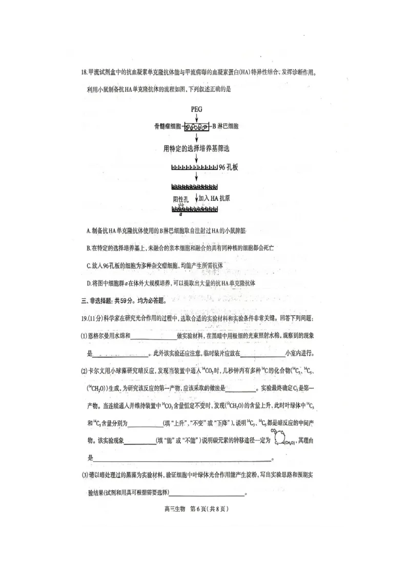 《17_河北省石家庄市2023届高中毕业年级教学质量检测（二）（一模）生物试卷_2025版教学资源包_（总复习系列）2025版《5年高考3年模拟》新高考版A版（⭐全科）_第二部分图书拓展资源》第6页预览