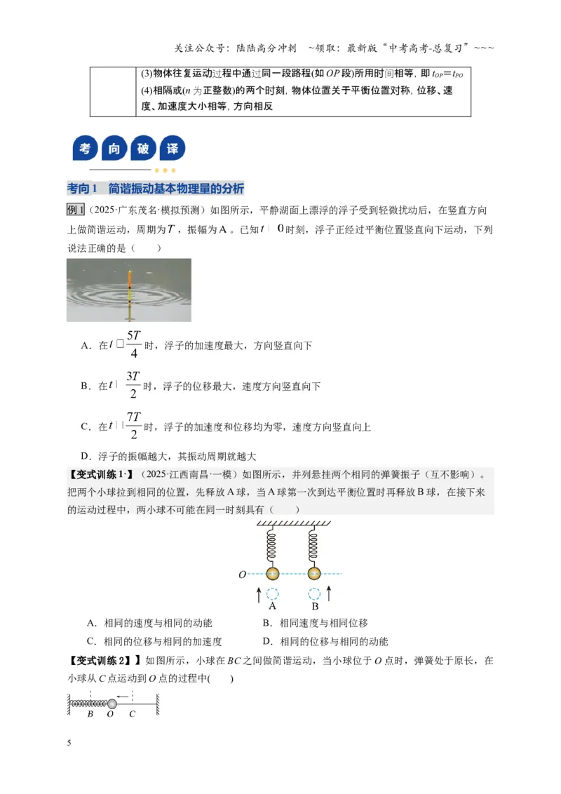 《第30讲机械振动（复习讲义）（湖南专用）（学生版）_04-物理-高考总复习_一轮复习_2026年-物理高考一轮复习_2026年高考物理一轮课件+讲义+练习（湖南专用）-G331》第5页预览
