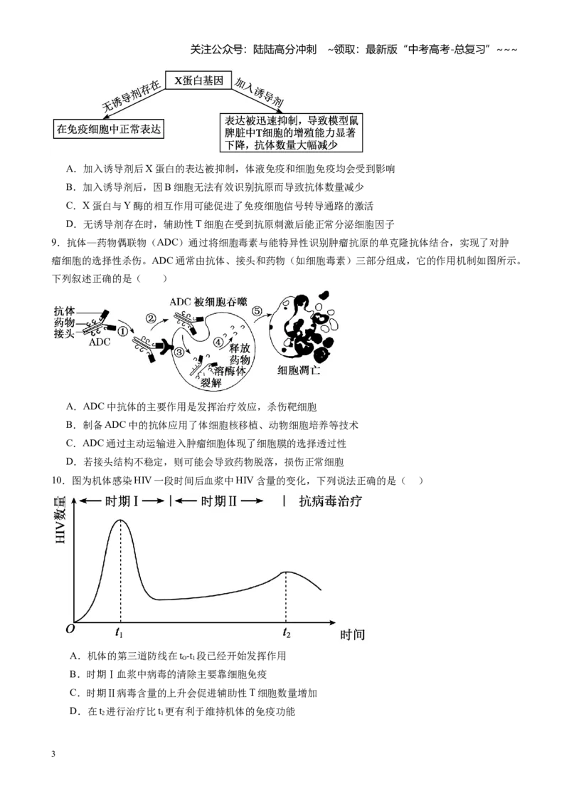 《第28讲免疫调节（专项训练）（学生版）_06-生物-高考总复习_一轮复习_2026年-生物高考一轮复习_2026年高考生物一轮课件+讲义+练习（湖南专用）-G331》第3页预览
