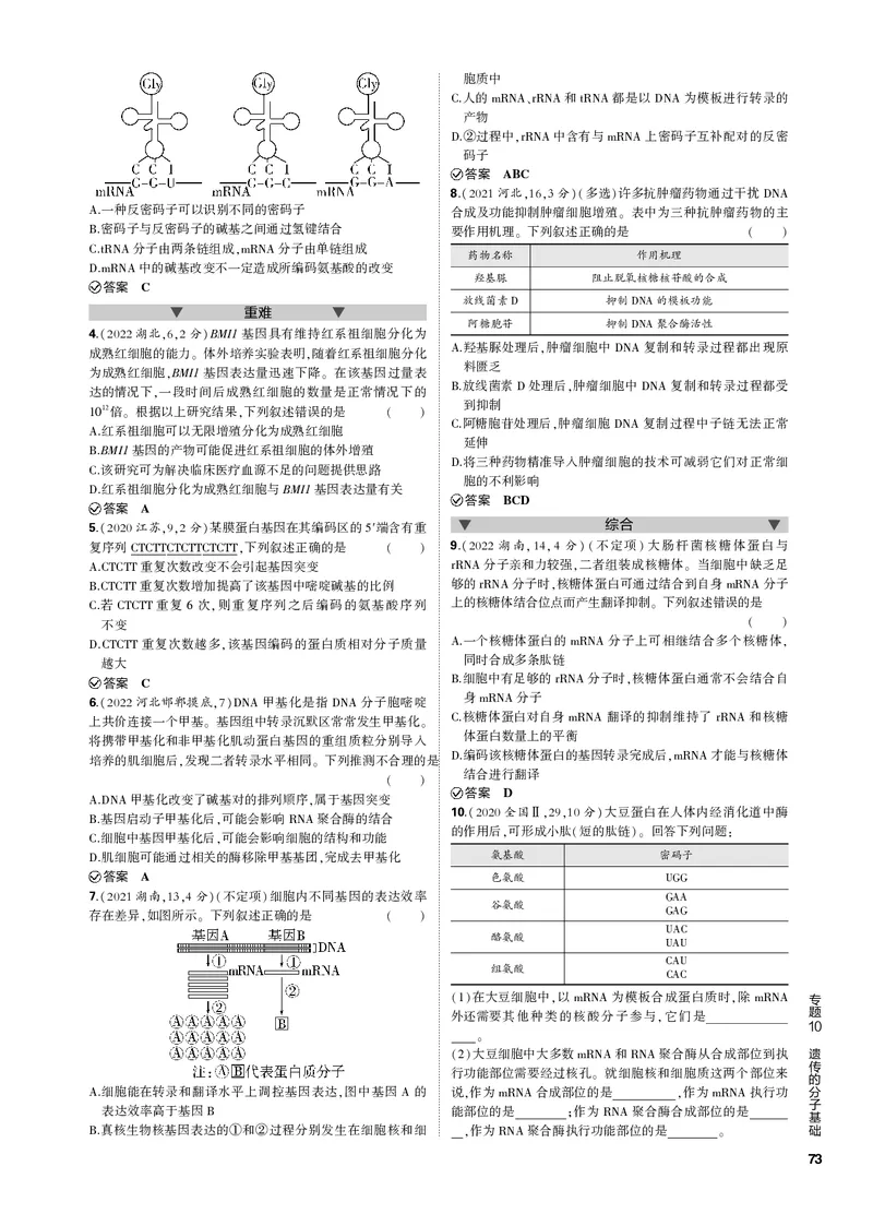 《1_专题10　遗传的分子基础(PDF版）_2023版教学资源包_2023版新高考新教材版选考总复习生物5·3B版_10_专题十遗传的分子基础_4_专题电子书》第3页预览