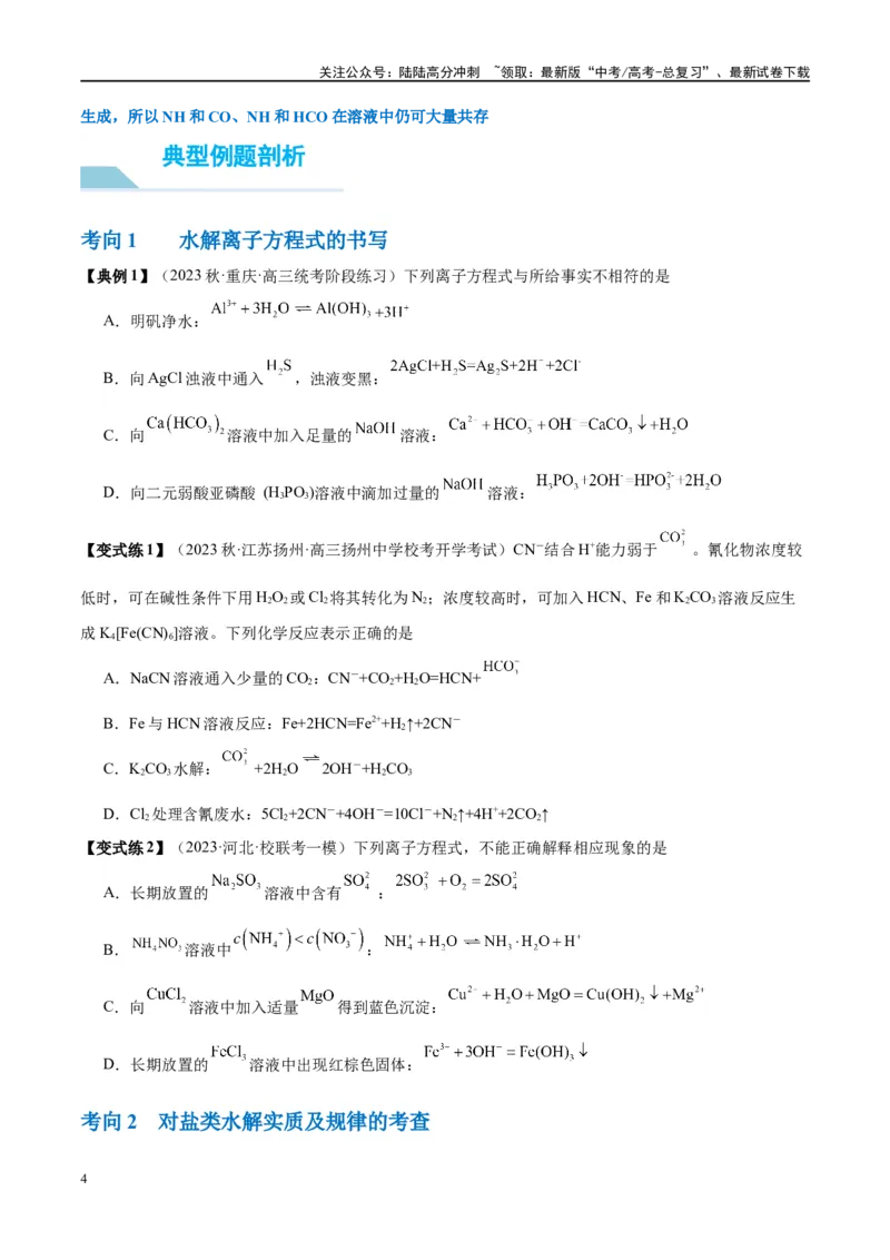 《第30讲盐类的水解（讲义）-（原卷版）_05-化学-高考总复习_一轮复习_2024年_2024年高考化学大一轮复习卓越讲义_资料》第4页预览