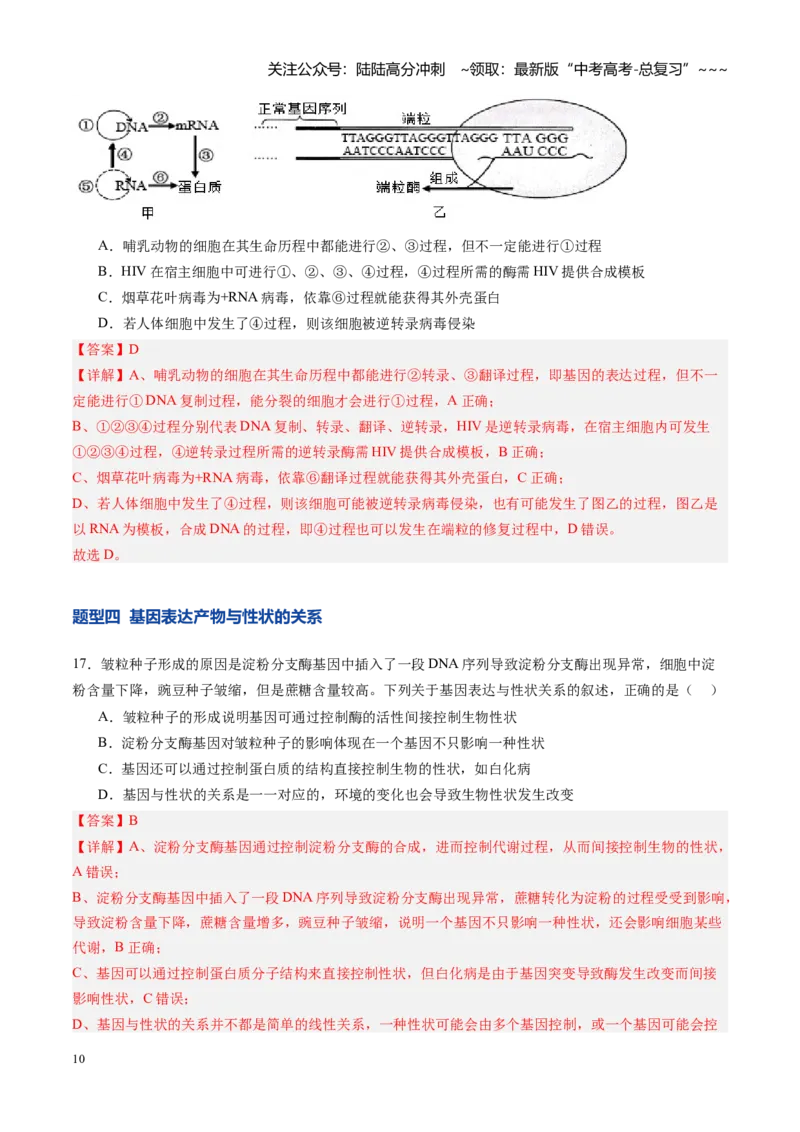 《第22讲基因的表达、基因与性状的关系（专项训练）（安徽专用）（教师版）_06-生物-高考总复习_一轮复习_2026年-生物高考一轮复习_2026年高考生物一轮课件+讲义+练习（安徽专用）-G326》第10页预览