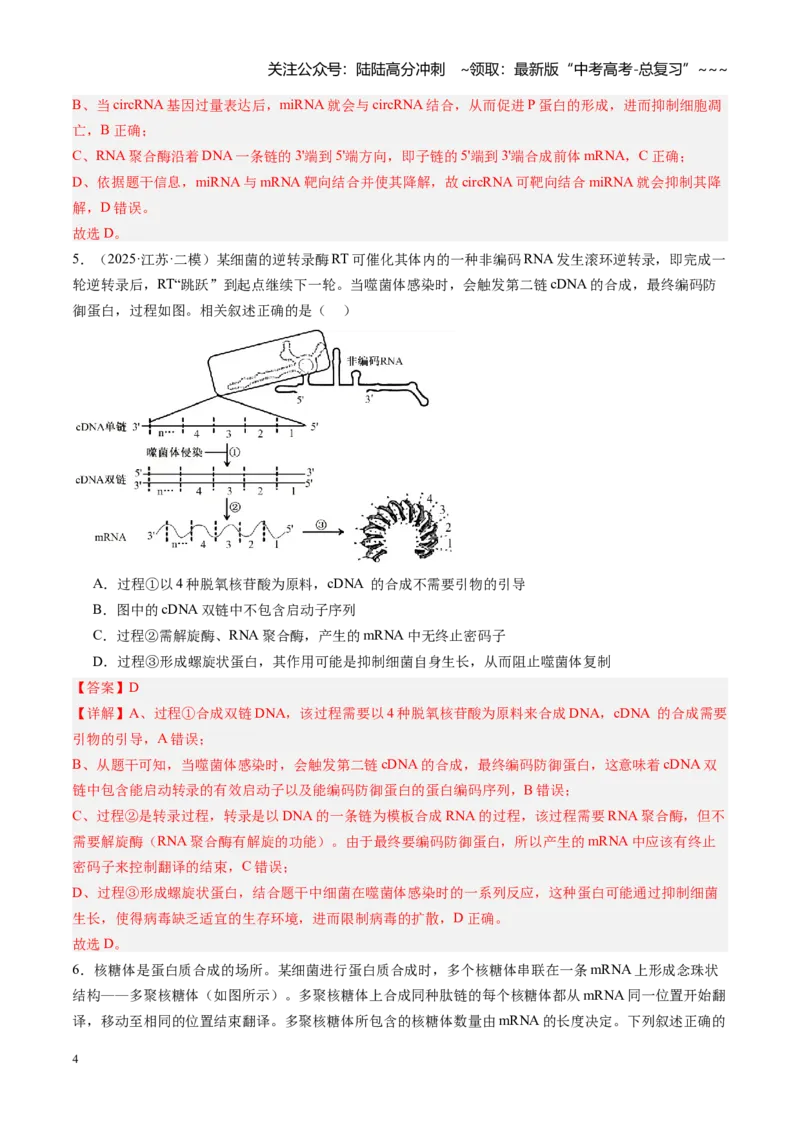 《第22讲基因的表达、基因与性状的关系（专项训练）（安徽专用）（教师版）_06-生物-高考总复习_一轮复习_2026年-生物高考一轮复习_2026年高考生物一轮课件+讲义+练习（安徽专用）-G326》第4页预览